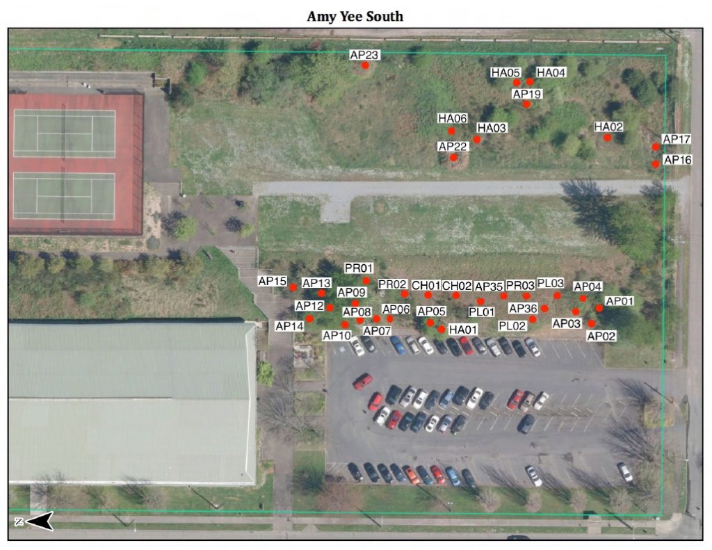 Amy Yee Tennis Center — Tennis Academy, Seattle, United States — image 1